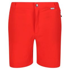 Męskie Spodenki Mountain II. Czarne szorty męskie Regatta, bez kołnierzyka. Za 118.99 zł.
