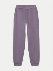 4F Spodnie dresowe 4FJWAW24TTROF754 Fioletowy Regular Fit. Fioletowe spodnie dziewczęce 4f, z bawełny. Za 49.99 zł.