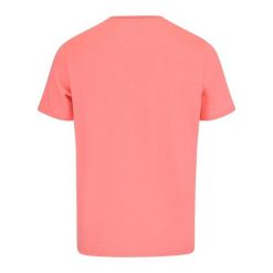 Head Motion T-shirt. Brązowe t-shirty damskie HEAD, bez wzorów, bez kołnierzyka. W wyprzedaży za 204.15 zł.