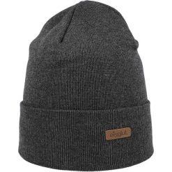 Czapka zimowa męska Eisglut Toni Cotton szara. Szare czapki męskie 100%, na zimę, bez wzorów, z bawełny. Za 178.00 zł.