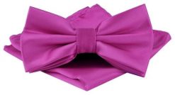 Mucha Męska w Zestawie z Poszetką - Alties - Kolor Różowy. Czerwone krawaty i muchy męskie Alties, bez wzorów, eleganckie. Za 65.00 zł.