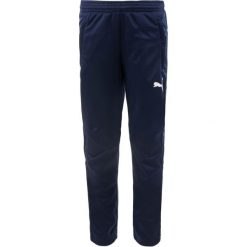 PUMA JR Spodnie Treningowe Peacoat 164 - Komfort i Wydajność. Niebieskie spodnie dresowe damskie Puma, bez wzorów. Za 175.99 zł.