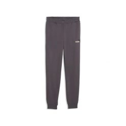 Spodnie Puma Ess 2 Color No. 1 Logo Sweatpants Fl Cl Dorośli. Szare spodnie materiałowe męskie Puma, bez wzorów, z bawełny, sportowe. Za 271.99 zł.