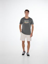 Koszulka męska Protest PRTCAARLO t-shirt. Szare t-shirty męskie Protest, na lato, m, bez wzorów, z bawełny, bez kołnierzyka. Za 79.90 zł.