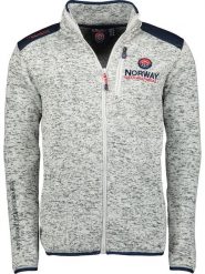 Geographical Norway Kurtka polarowa "Tavid" w kolorze szarym rozmiar: S. Szare kurtki męskie Geographical Norway, s, z aplikacjami, z materiału, bez kaptura. Za 123.25 zł.