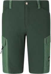 Szorty Whistler Rommy. Zielone szorty męskie WHISTLER, z materiału, bez kołnierzyka. Za 289.00 zł.