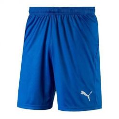 Spodnie treningowe męskie Puma Liga Shorts Core. Niebieskie spodnie sportowe męskie Puma. Za 122.00 zł.