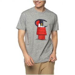 Koszulka sportowa męska Champion X Peanuts. Szare t-shirty sportowe męskie CHAMPION, l, z bawełny, bez ramiączek. Za 151.00 zł.