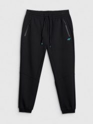 4F Spodnie dresowe joggery męskie - czarne XL. Czarne spodnie dresowe męskie 4f, bez wzorów, z bawełny. Za 179.99 zł.