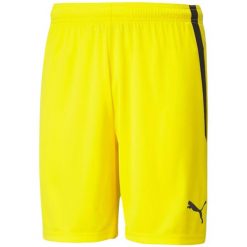 Męskie Spodenki Team Liga. Zielone szorty męskie Puma, bez kołnierzyka. Za 143.99 zł.