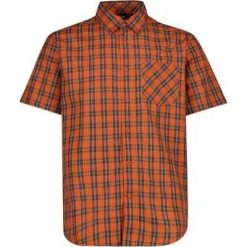 Cmp Man Shirt Koszula męska 100% poliester – 29ZV Antracite-Orange-Vaniglia. Brązowe koszule męskie CMP, m, bez wzorów, z poliesteru, bez kołnierzyka, bez ramiączek. Za 197.50 zł.