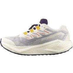 Damskie buty sportowe Salomon AERO BLAZE 3 GRVL GTX W L47974100. Brązowe buty sportowe na co dzień damskie Salomon, bez wzorów, z gore-texu, do biegania. Za 453.16 zł.