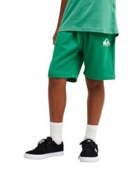 Spodenki z elastyczną talią dla Chłopcy EASY DAY Zielony. Zielone szorty męskie Quiksilver, z bawełny, bez kołnierzyka. Za 119.99 zł.