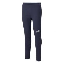 Spodnie Do Joggingu Męskie TeamFINAL. Czarne spodnie sportowe męskie Puma. Za 364.99 zł.