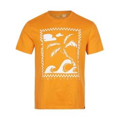 T-shirt męski O'Neill Fin T-Shirt z krótkim rękawem. Białe t-shirty męskie O'neill, m, bez wzorów, bez kołnierzyka. Za 159.00 zł.