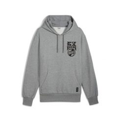 Bluza Puma Hoops. Szare bluzy z kapturem męskie Puma. W wyprzedaży za 132.50 zł.