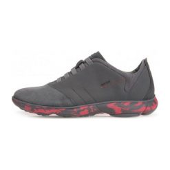 Geox tenisówki męskie Nebula 40 szary. Szare trampki i tenisówki męskie Geox, bez wzorów, bez zapięcia. W wyprzedaży za 393.00 zł.