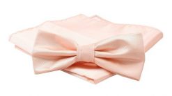 Mucha Męska z Poszetką, Morelowa Jednokolorowa w Drobny Prążek -ALTIES. Pomarańczowe krawaty i muchy męskie Alties, bez wzorów, eleganckie. Za 54.00 zł.
