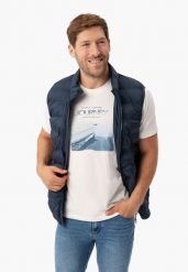 T-shirt z nadrukiem, Comfort Fit, T-SAIL. Zielone t-shirty męskie Volcano, l, bez wzorów, z bawełny, bez kołnierzyka. Za 69.99 zł.