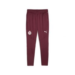 Męskie spodnie treningowe FC Red Bull Salzburg PUMA Team Regal Red White. Białe spodnie dresowe męskie Puma, bez wzorów, z dresówki. W wyprzedaży za 219.00 zł.