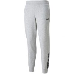 Spodnie damskie Puma Power Pants FL szare. Szare spodnie dresowe damskie Puma, l. Za 181.35 zł.
