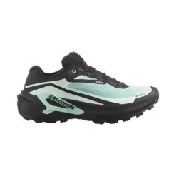 Obuwie Biegi w terenie Kobiety GENESIS 2 GORE-TEX. Czarne obuwie do biegania damskie Salomon. Za 729.00 zł.