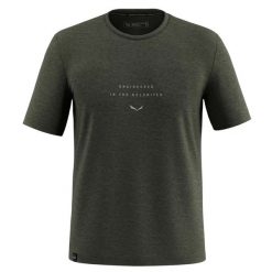 T-shirt Salewa Eagle Eitd AM. Zielone t-shirty męskie Salewa, s, bez wzorów, z materiału, bez kołnierzyka. Za 371.00 zł.