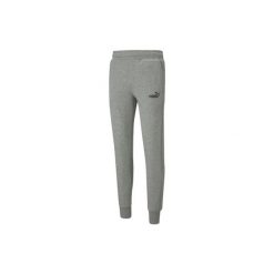Spodnie Puma Essentials Slim, Mężczyźni. Szare spodnie sportowe męskie Puma, z bawełny. Za 224.00 zł.