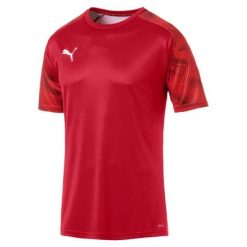 T-shirt Puma Cup Training Jersey czerwony. Brązowe t-shirty męskie Puma, m, bez wzorów, z jersey, bez kołnierzyka. Za 182.99 zł.