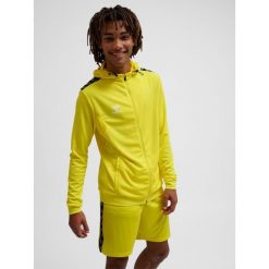 Poliestrowa bluza dresowa z kapturem i zamkiem błyskawicznym Hummel Authentic. Żółte bluzy sportowe męskie HUMMEL, bez wzorów, z dresówki, sportowe, bez kołnierzyka, bez ramiączek. Za 254.50 zł.