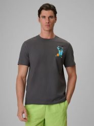 4F T-shirt regular z nadrukiem męski - szary M. Szare t-shirty męskie 4f, m, bez wzorów, z bawełny, bez kołnierzyka. Za 69.99 zł.