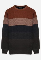 Brązowo-Granatowy Sweter z Wełną w Paski Ettarine. Brązowe swetry męskie Born2be, na zimę, m, bez wzorów, z wełny, bez kołnierzyka. Za 89.99 zł.