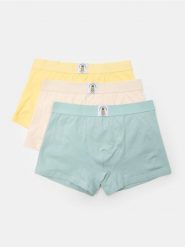 Bokserki Classic z ozdobną owocową naszywką 3 pack - wielobarwny. Bokserki męskie Sinsay, z aplikacjami. Za 29.99 zł.