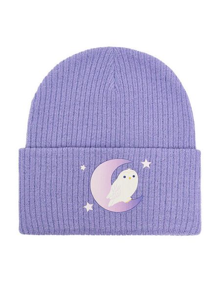 Harry Potter Czapka CEO-ACCCS-AW25-323WBHP Fioletowy. Fioletowe czapki dziecięce harry potter, na zimę, bez wzorów, z wiskozy. Za 39.99 zł.