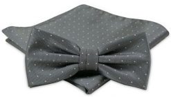 Modna Mucha Męska - Alties - Popiel w Groszki. Szare krawaty i muchy męskie Alties, bez wzorów, eleganckie. Za 54.00 zł.