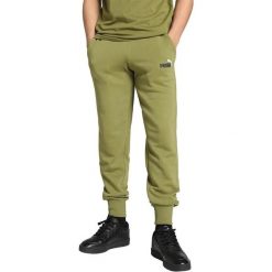 Spodnie Puma ESS 2 Col Logo Pants TR cl, Mężczyźni. Zielone spodnie materiałowe męskie Puma, bez wzorów, z bawełny. Za 290.00 zł.