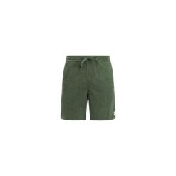 Protest PRTUleyo shorts - Thyme. Zielone szorty męskie Protest, na fitness i siłownię. Za 291.50 zł.