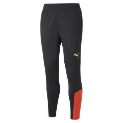 Spodnie Puma Individualfinal Training Pants, Mężczyźni. Brązowe spodnie dresowe męskie Puma, bez wzorów, z dresówki. Za 290.00 zł.