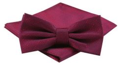 Mucha Męska z Poszetką w Zestawie - Alties - Czerwona. Czerwone krawaty i muchy męskie Alties, bez wzorów, eleganckie. Za 54.00 zł.