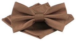 Mucha Męska w Zestawie z Poszetką - Alties - Jasny Brąz. Krawaty i muchy męskie Alties, bez wzorów, eleganckie. Za 65.00 zł.