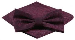 Męska Mucha z Poszetką Alties - Bordo, Melanżowa Struktura. Czerwone krawaty i muchy męskie Alties, bez wzorów, eleganckie. Za 54.00 zł.