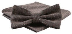 Mucha Męska Alties z Poszetką - Brązowa w Groszki. Brązowe krawaty i muchy męskie Alties, bez wzorów, eleganckie. Za 54.00 zł.