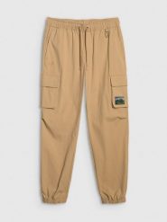 4F Spodnie casual cargo męskie - beżowe XS. Brązowe spodnie materiałowe męskie 4f, bez wzorów, z tkaniny, casualowe. Za 189.99 zł.