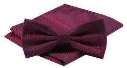 Mucha Męska z Poszetką w Zestawie - Alties - Ciemna Czerwień z Drobnym Wzorem. Czerwone krawaty i muchy męskie Alties, bez wzorów, eleganckie. Za 54.00 zł.