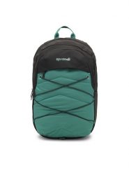 Sprandi Plecak SPR-P-015-05 Zielony. Zielone plecaki męskie Sprandi, bez wzorów, z materiału. Za 89.99 zł.