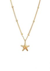 Elli Naszyjnik z zawieszką Damski zawieszka rozgwiazda Łańcuszek kulkowy 925 Sterling Silver Letni / Plażowy 38 cm Naszyjniki 1 ct. Szare naszyjniki damskie Elli, na plażę, srebrne. Za 233.99 zł.