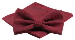 Męska Mucha z Poszetką (Alties) - Czerwona w Drobny Wzór. Czerwone krawaty i muchy męskie Alties, bez wzorów, eleganckie. Za 54.00 zł.