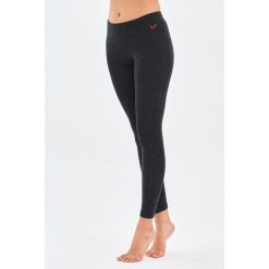 Norte - Ocieplane Legginsy z 100% Wełny Merino (195 g/m²). Szare bielizna termoaktywna damska WOOLONA, m, bez wzorów, z wełny. W wyprzedaży za 288.00 zł.