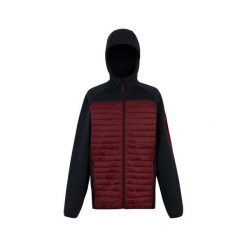 Kurtka hybrydowa Regatta Newhill. Czarne kurtki męskie Regatta, bez wzorów, z puchu, sportowe, bez kaptura. Za 119.99 zł.