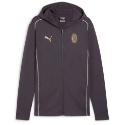 Kurtka Z Kapturem Puma Acm Casuals Dorosłych. Szare kurtki treningowe męskie Puma, l, bez wzorów, z bawełny, do biegania. Za 168.40 zł.